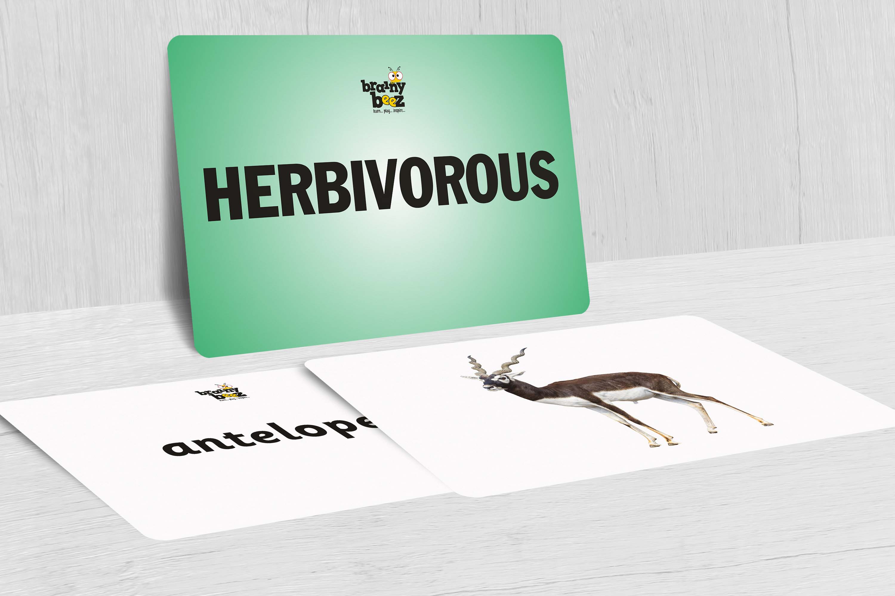 Herbivorous
