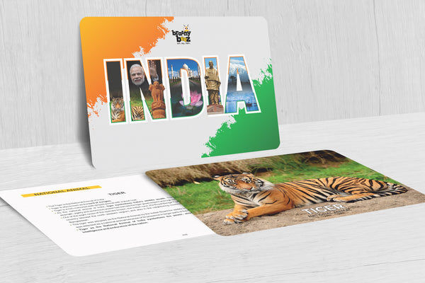 India Flashcards
