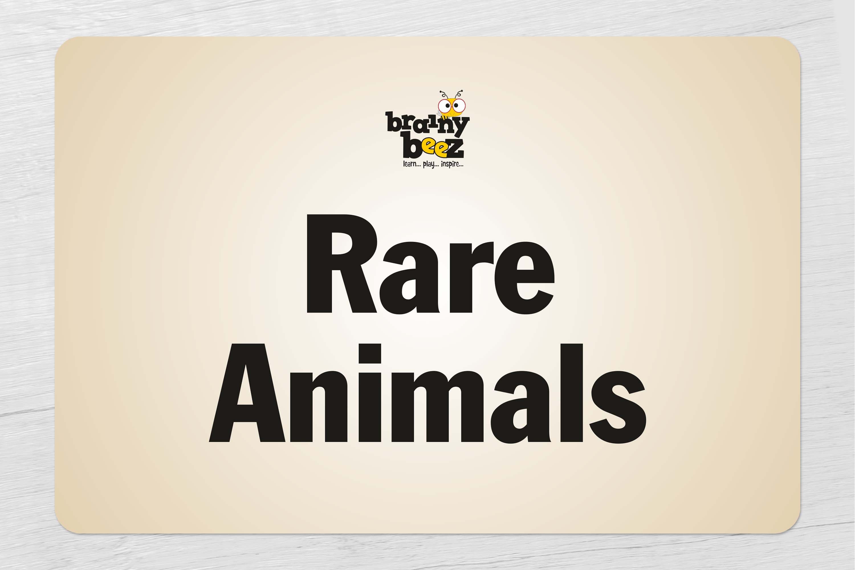 Rare Animal