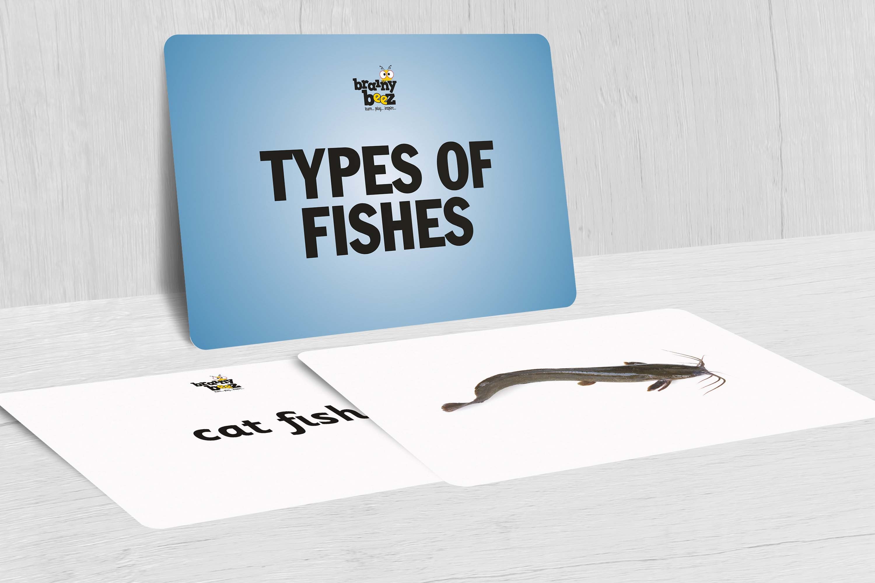 Types of Fishes